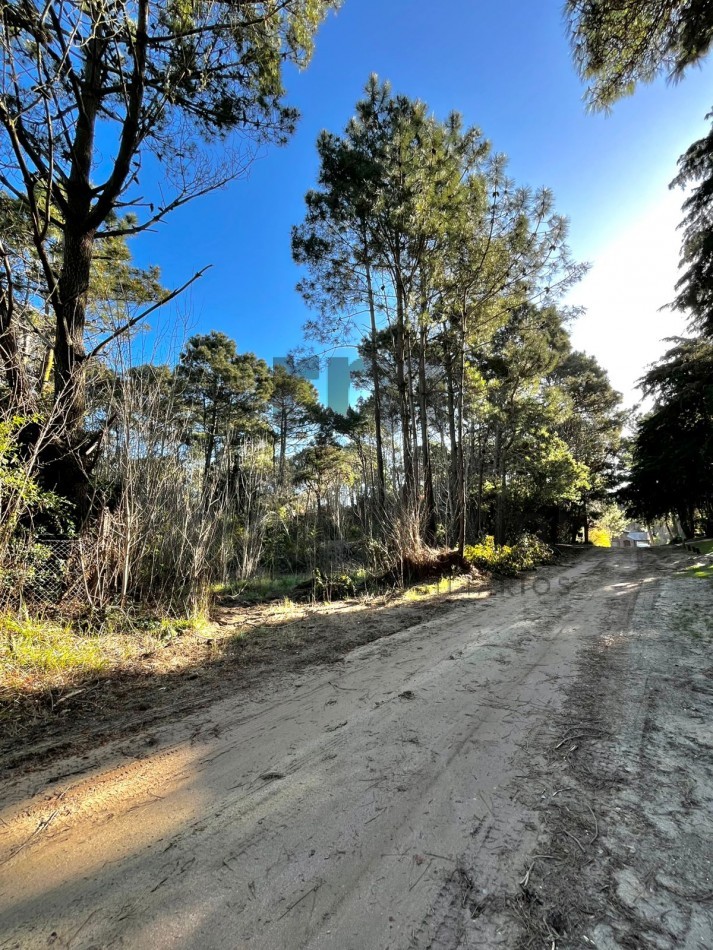 Lote en venta en el corazon de Carilo 