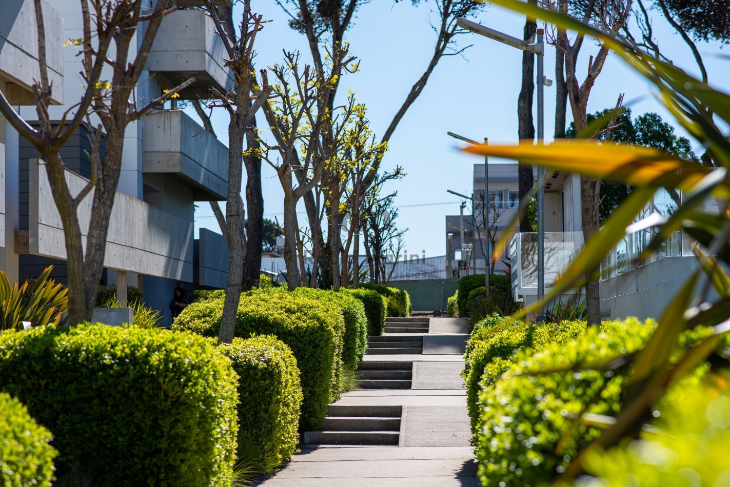 PINAMAR - Alquiler 3 Ambientes 